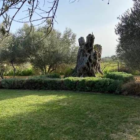 Lilandion Villa *