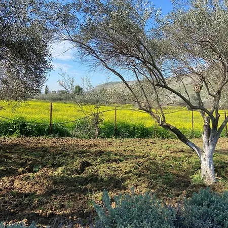 Lilandion Villa Mitikas
