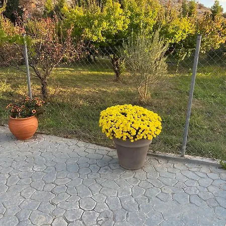 Lilandion