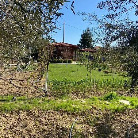 Lilandion Villa Mitikas