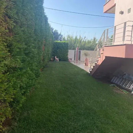 Lilandion * Mitikas