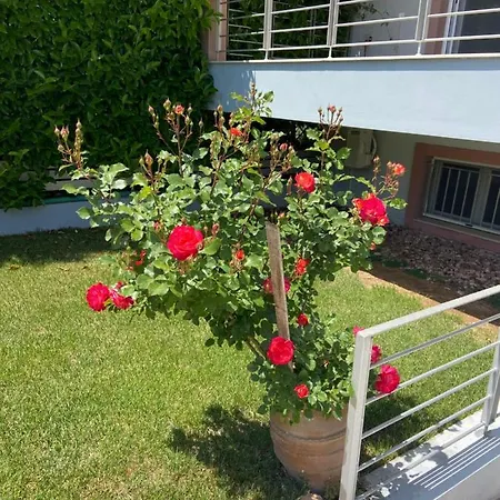Lilandion Villa